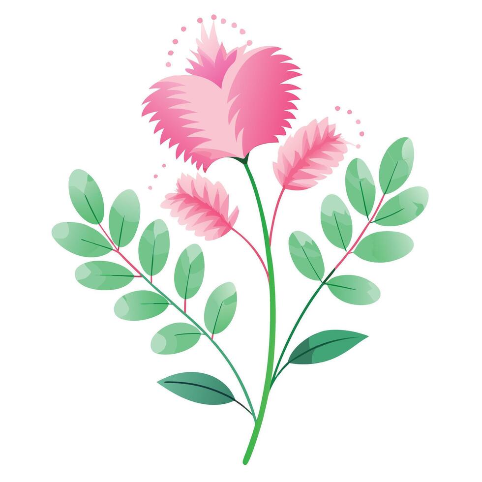 Botanical Depiction of a Fairy Duster Plant in Full Bloom with Green Leaves and Stems vector
