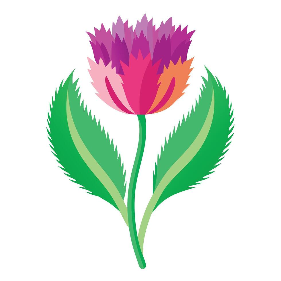 Beautiful Fringed Tulip Plant with Petals and Leaves vector