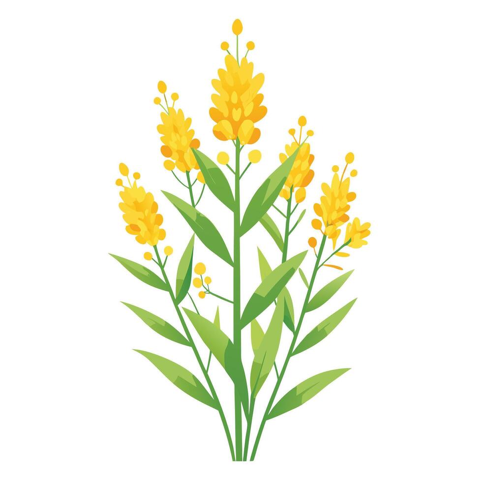 Vibrant Golden Rod Plant with Brightly Colored Flowers and Leaves in a Natural Setting vector