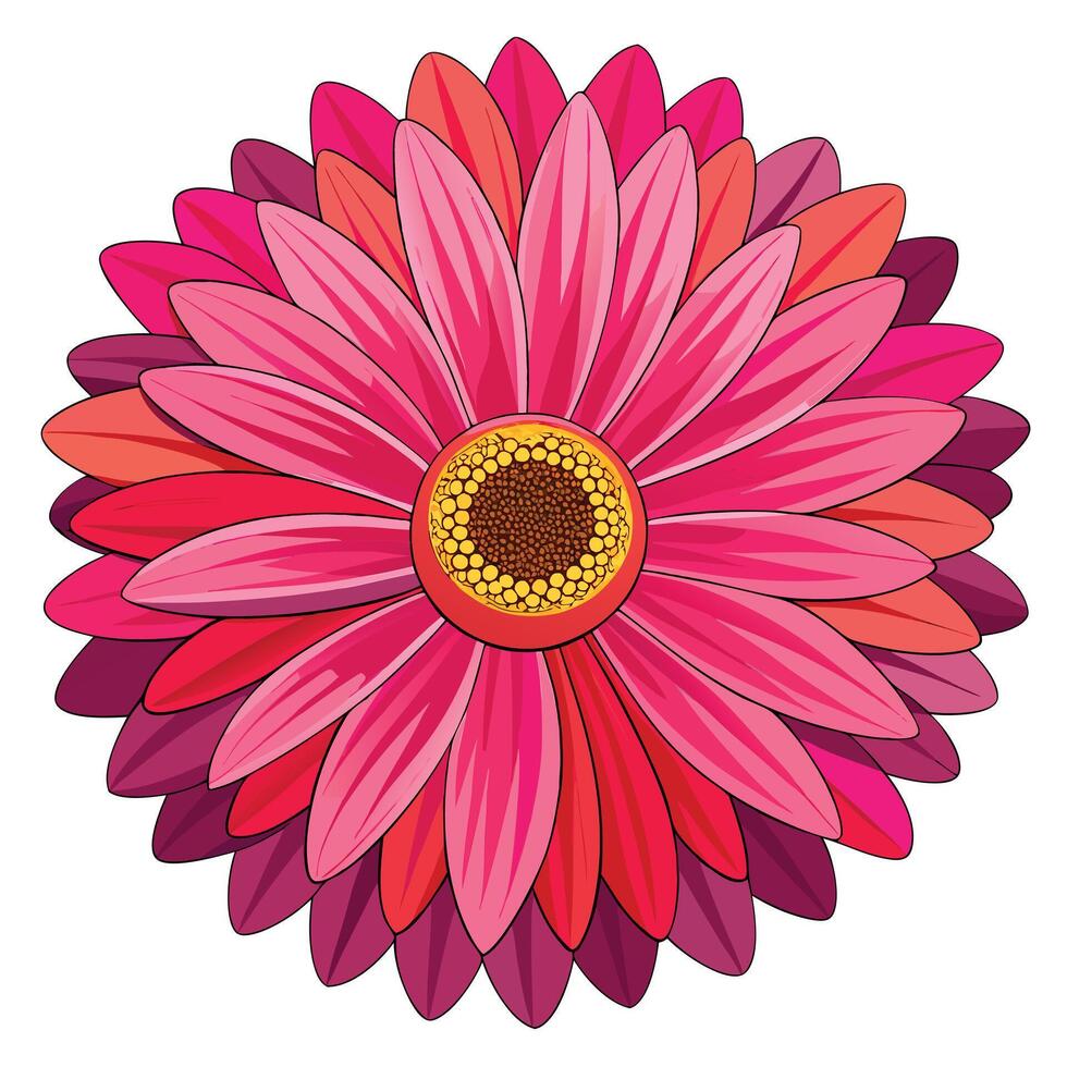 Botanical Depiction of a Gerbera Daisy in Full Bloom with Green Leaves and Stems vector