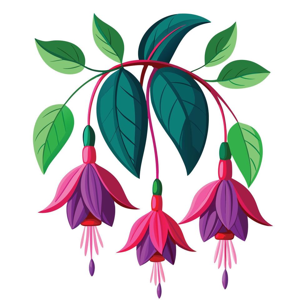 Intricate Details of a Fuchsia Plant in a Natural Setting with Wildflowers and Butterflies Isollated on White Background vector