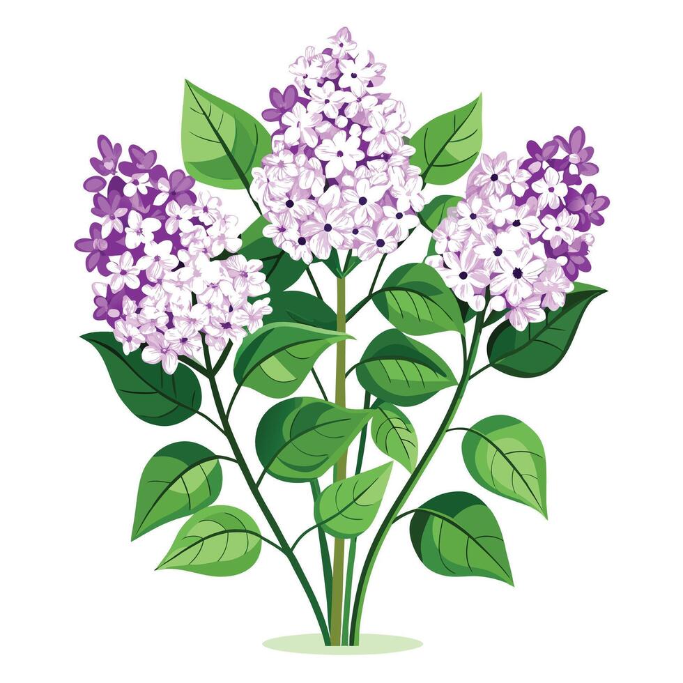 Vibrant Lilac Plant with Brightly Colored Flowers and Leaves in a Natural Setting vector