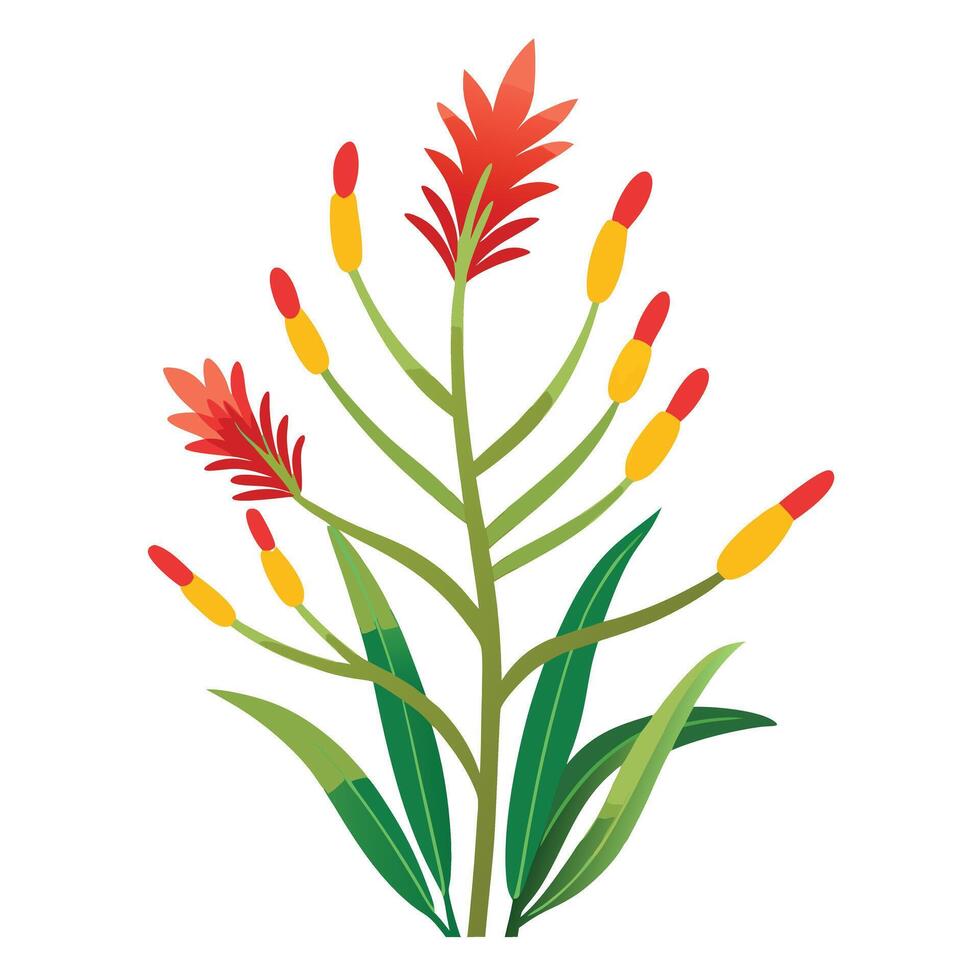 Intricate Details of a Kangaroo Paw Plant in a Natural Setting with Wildflowers and Butterflies Isollated on a White Background vector