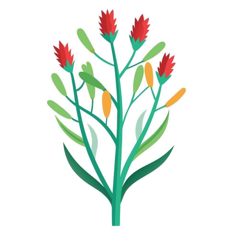 Vibrant Kangaroo Paw Plant with Brightly Colored Flowers and Leaves in a Natural Setting Isollated on a White Background vector