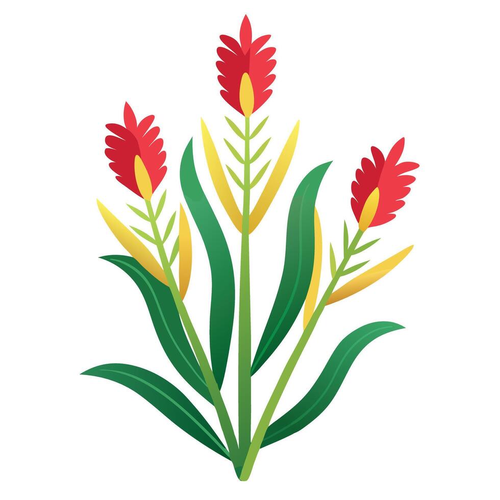 Botanical Depiction of a Kangaroo Paw Plant in Full Bloom with Green Leaves and Stems vector