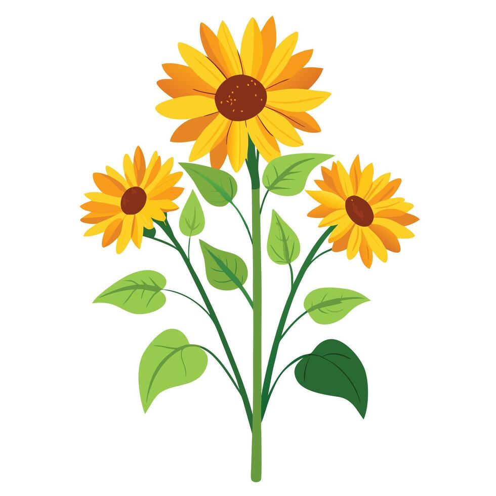 Perennial Sunflower Plant with Pink Flowers and Green Leaves in a Garden Setting vector