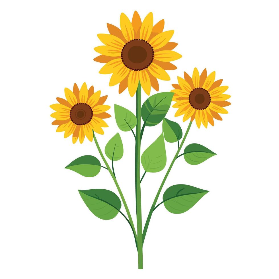 Detailed Illustration of a Perennial Sunflower Plant with White Petals and Long Stems vector