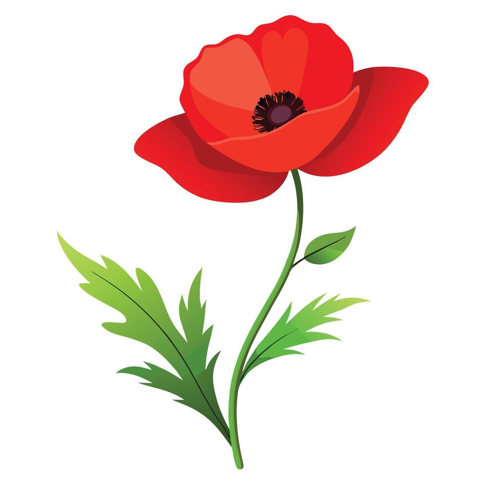 Poppy Flower with Pink Petals and Green Leaves in a Garden Setting vector