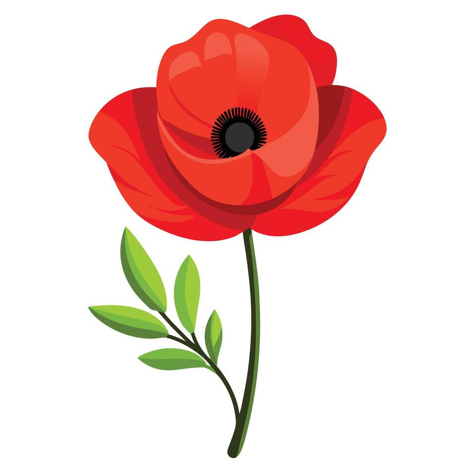 Detailed Illustration of a Poppy Flower with White Petals and Long Stems vector