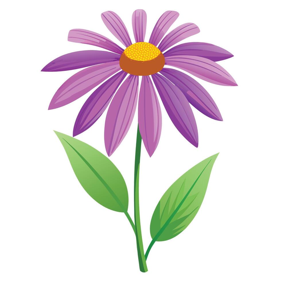 Purple Coneflower Plant with Yellow Flowers and Green Leaves in a Garden Setting vector
