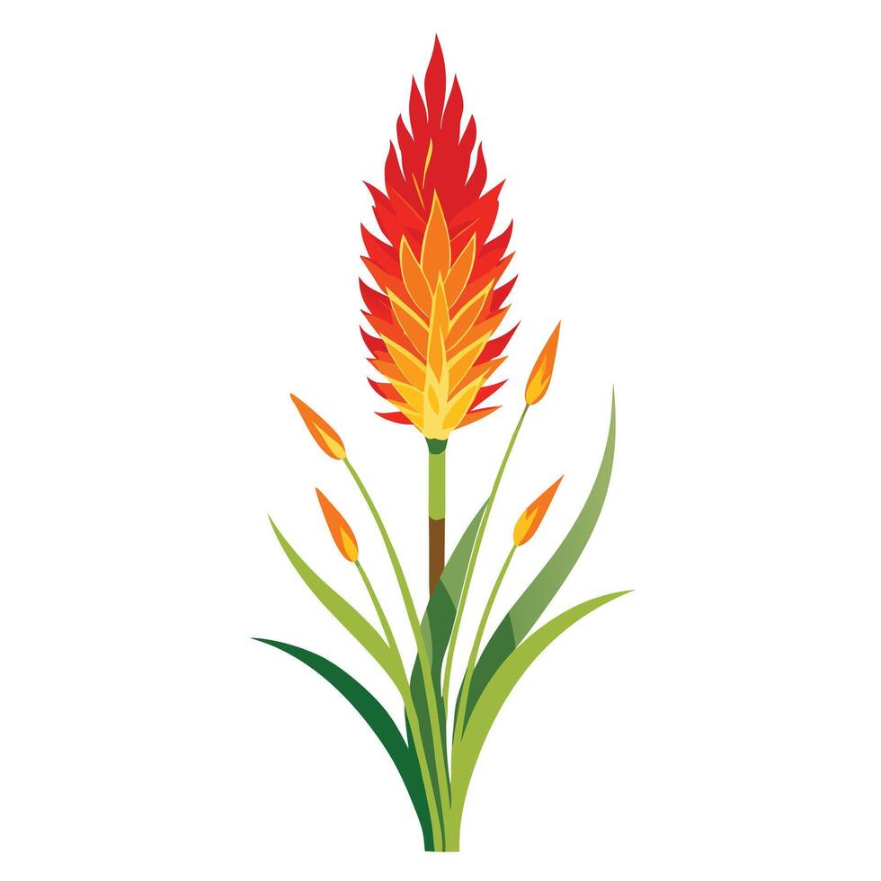 Vibrant Torch Lily Plant with Brightly Colored Flowers and Leaves in a Natural Setting vector