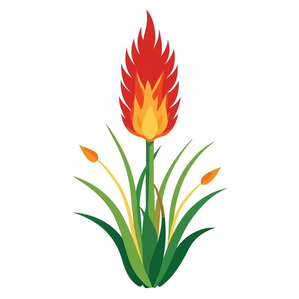 Beautiful Torch Lily Plant with Tall Stems and Flowers vector