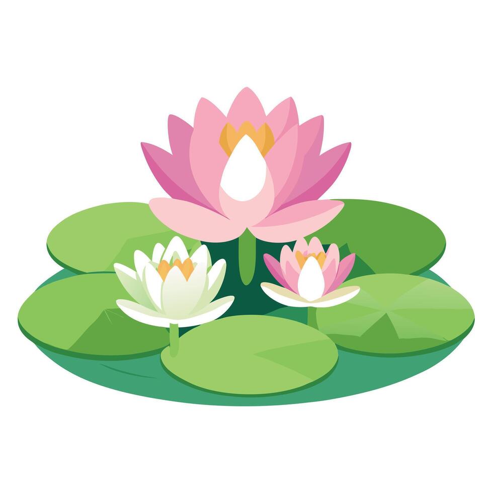 Botanical Depiction of a Water Lily Plant in Full Bloom with Green Leaves and Stems vector