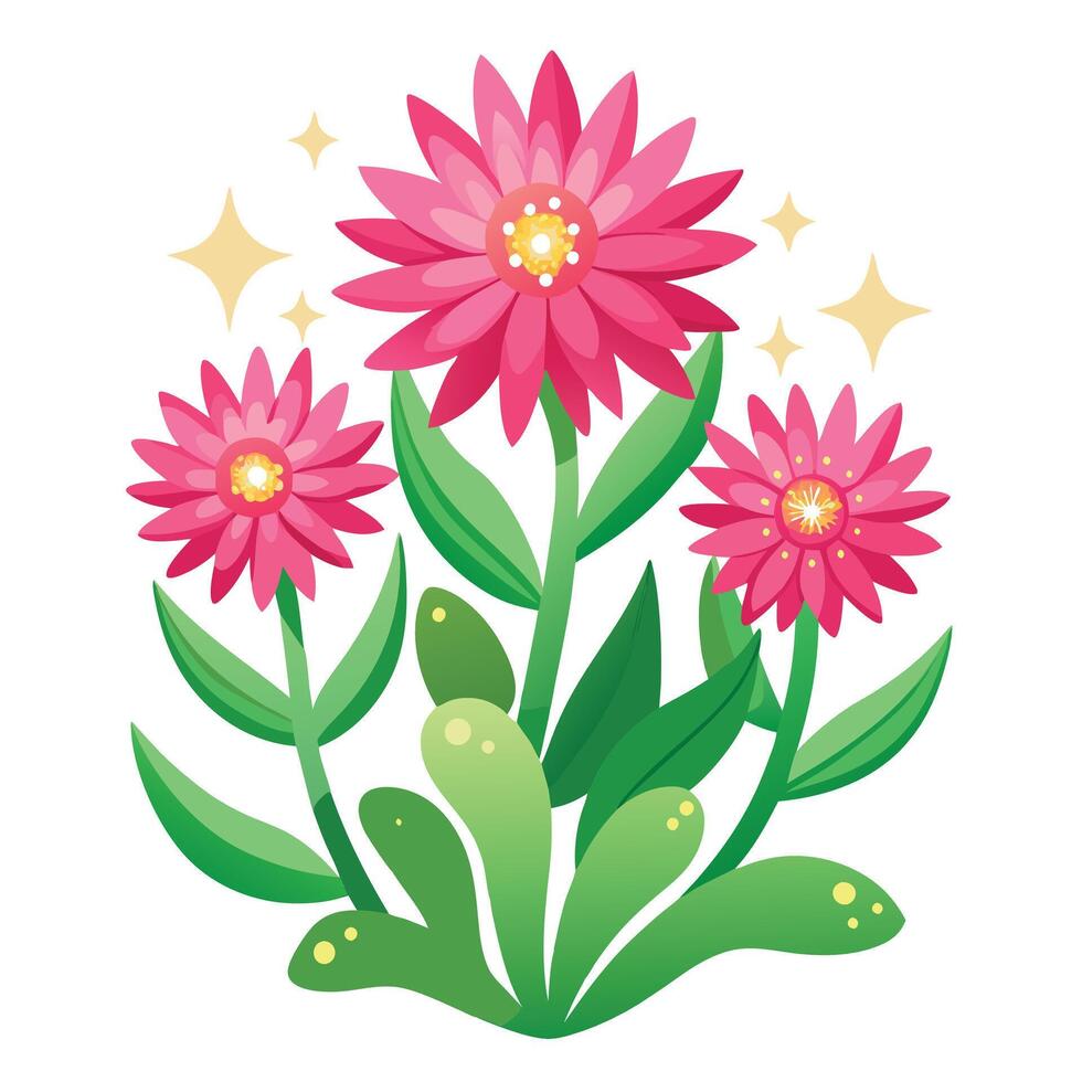 Ice Plant with Pink Flowers and Green Leaves in a Garden Setting vector