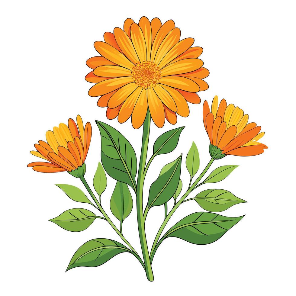 Intricate Details of a Calendula Plant in a Natural Setting with Wildflowers and Butterflies vector