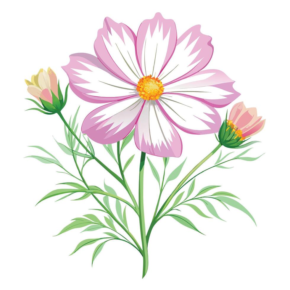 Intricate Details of a Cosmos Flower in a Natural Setting with Wildflowers and Butterflies Isollated on a White Background vector