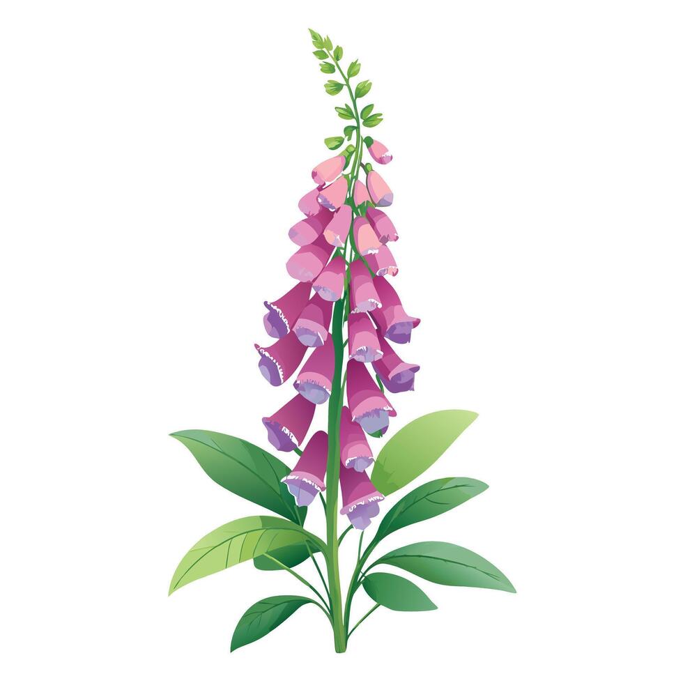 Intricate Details of a Foxglove Plant in a Natural Setting with Wildflowers and Butterflies Isollated on a White Background vector