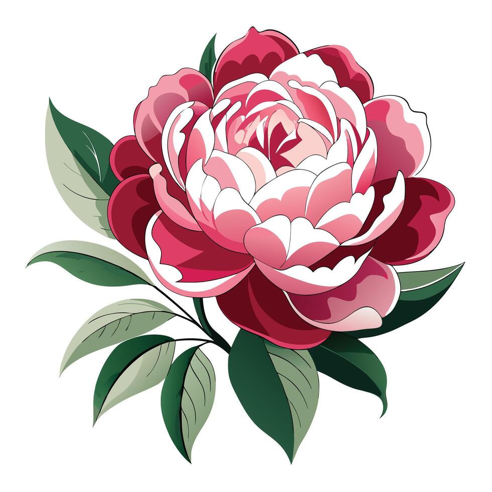Vibrant Peony Plant with Brightly Colored Flowers and Leaves in a Natural Setting vector