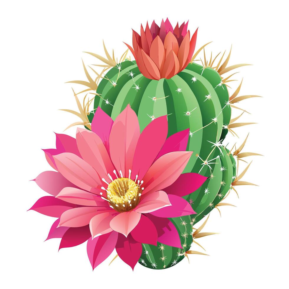 Detailed Illustration of a Cactus Flower with White Petals and Long Stems vector
