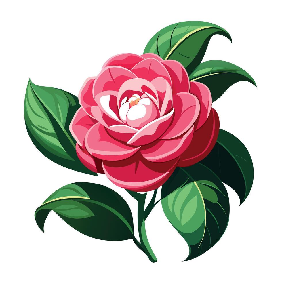 Beautiful Camellia Plant with Showy Pink Flowers and Green Leaves vector