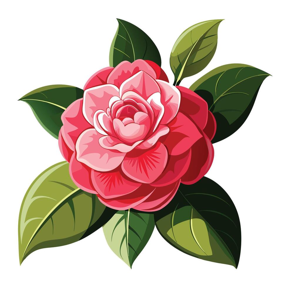 Camellia Plant with Purple Flowers and Green Leaves in a Garden Setting vector