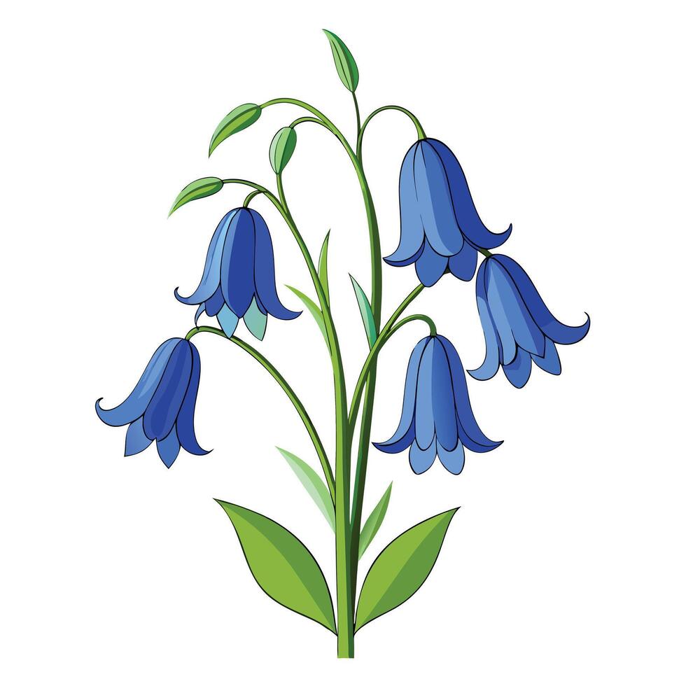 Bluebell Plant with Pink Flowers and Green Leaves in a Garden Setting vector