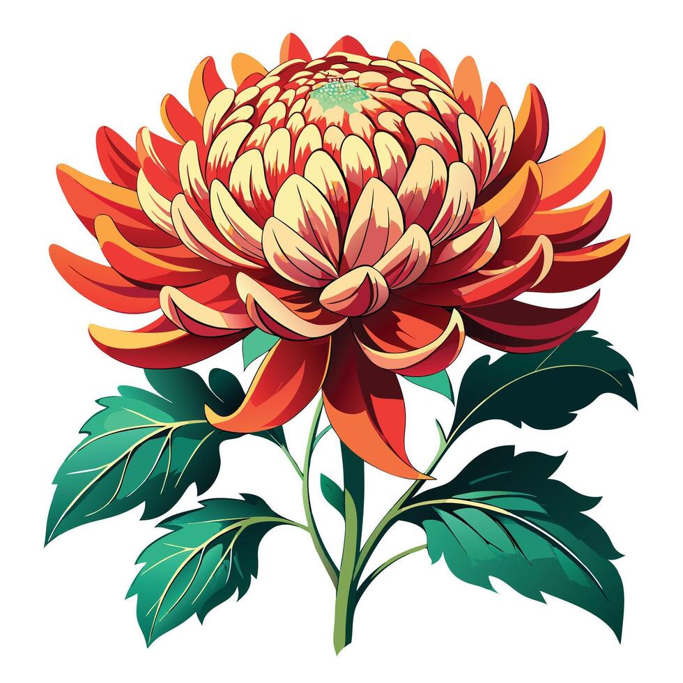 Chrysanthemum Plant with Pink Flowers and Green Leaves in a Garden Setting vector