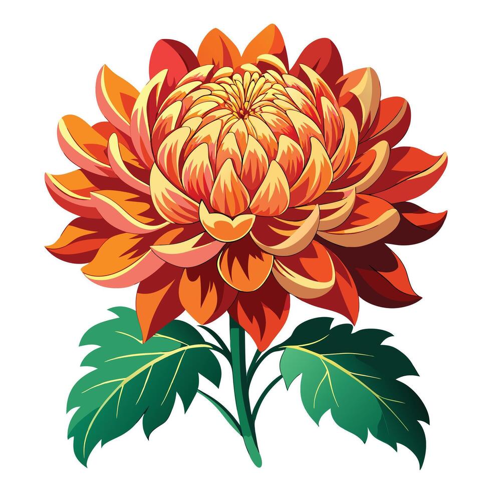 Chrysanthemum Plant with Purple Flowers and Green Leaves in a Garden Setting vector