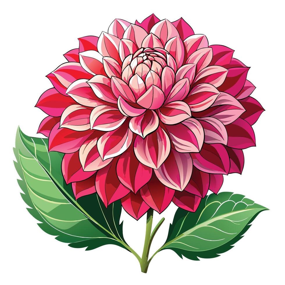 Dahlia Plant with Purple Flowers and Green Leaves in a Garden Setting Isollated on a White Background vector