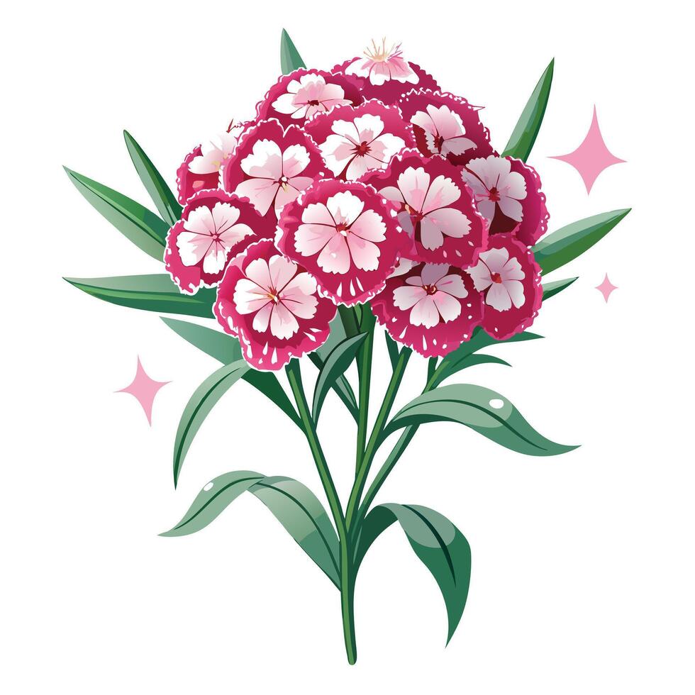 Intricate Details of a Sweet William Flower in a Natural Setting with Wildflowers and Butterflies vector
