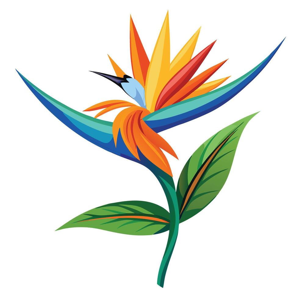 Beautiful Bird of Paradise Flower with Exotic Flowers and Leaves vector