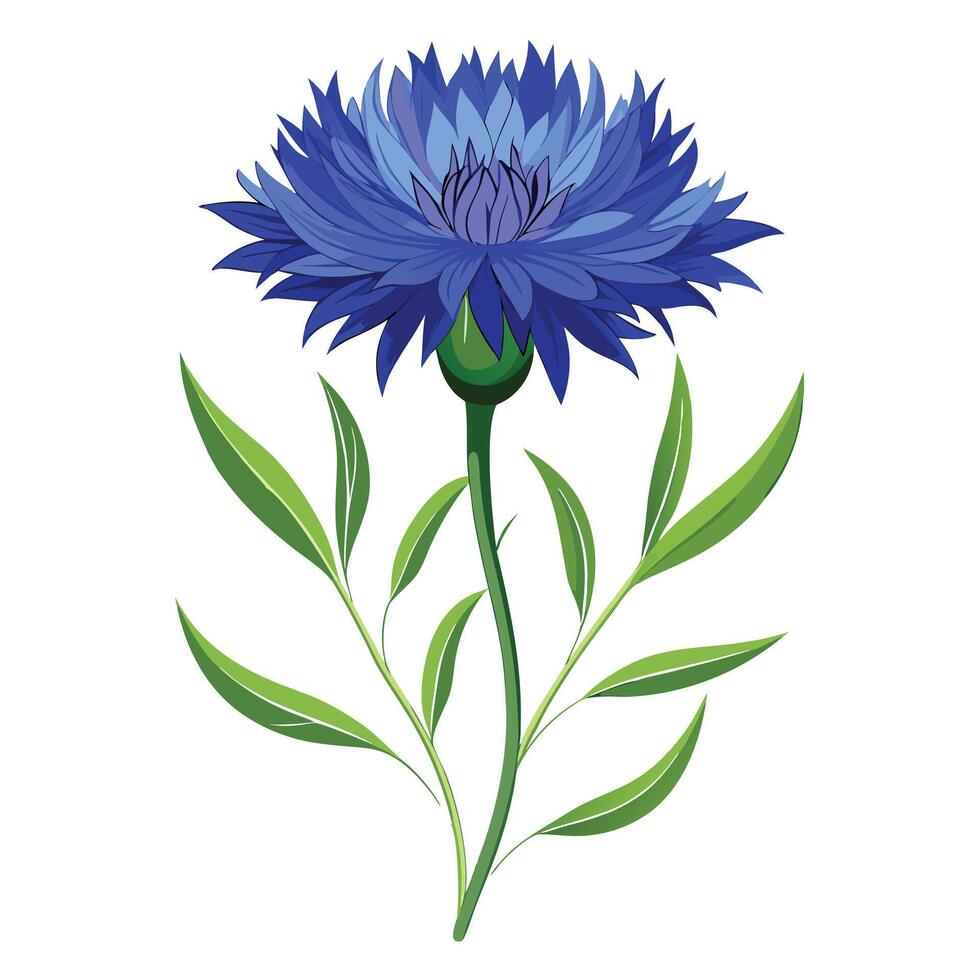 Intricate Details of a Cornflower Plant in a Natural Setting with Wildflowers and Butterflies vector