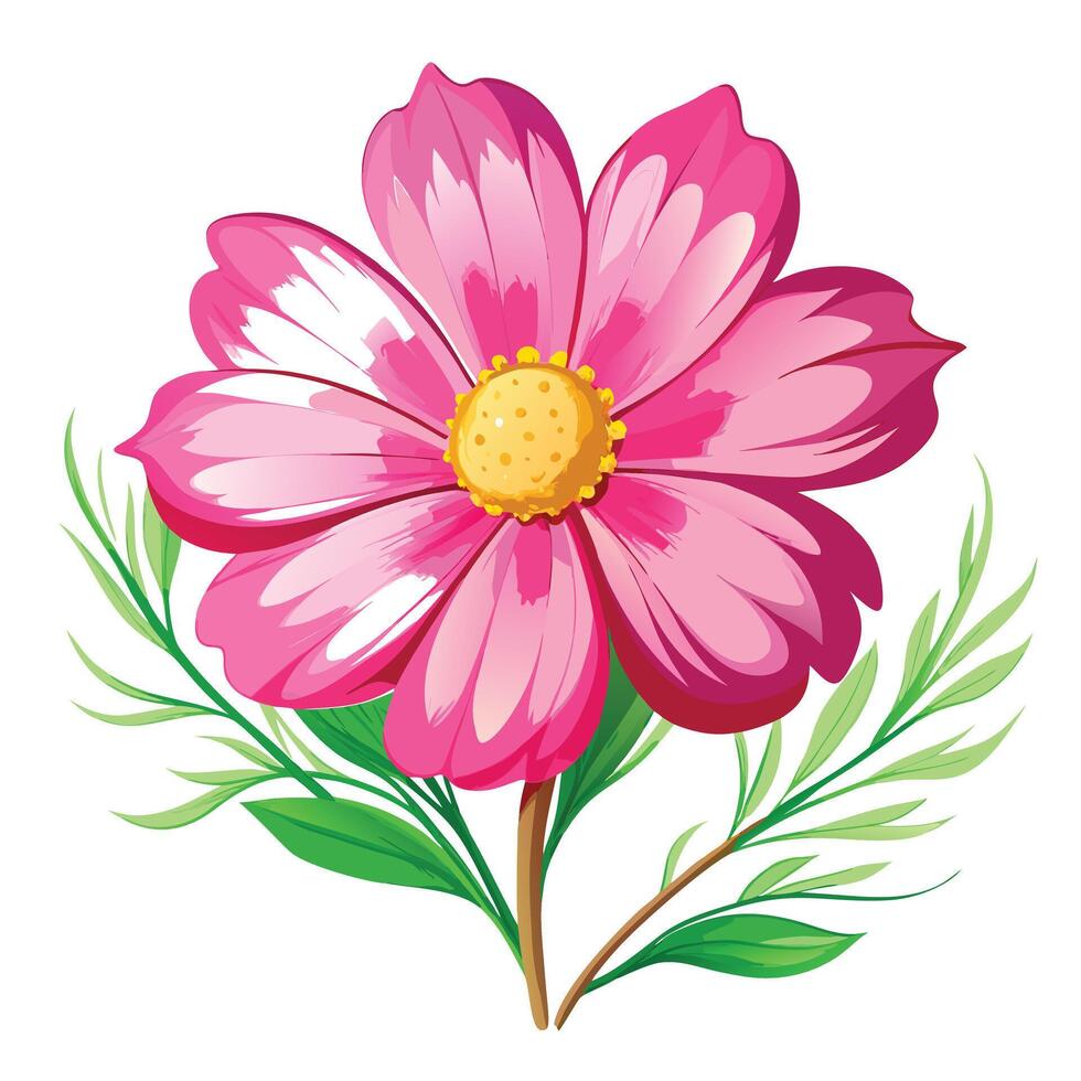 Botanical Illustration of a Cosmos Flower in Full Bloom with Green Leaves and Stems vector