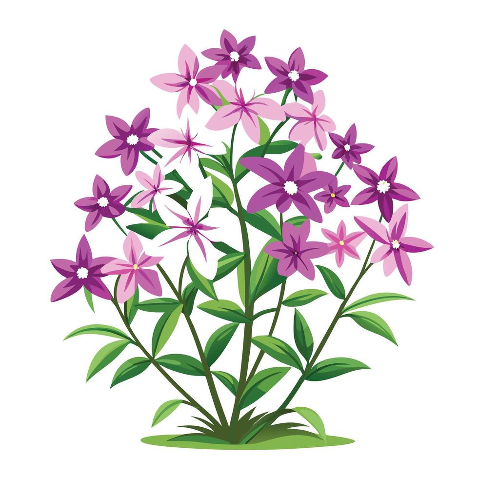 Intricate Details of a Creeping Phlox Plant in a Natural Setting with Wildflowers and Butterflies vector