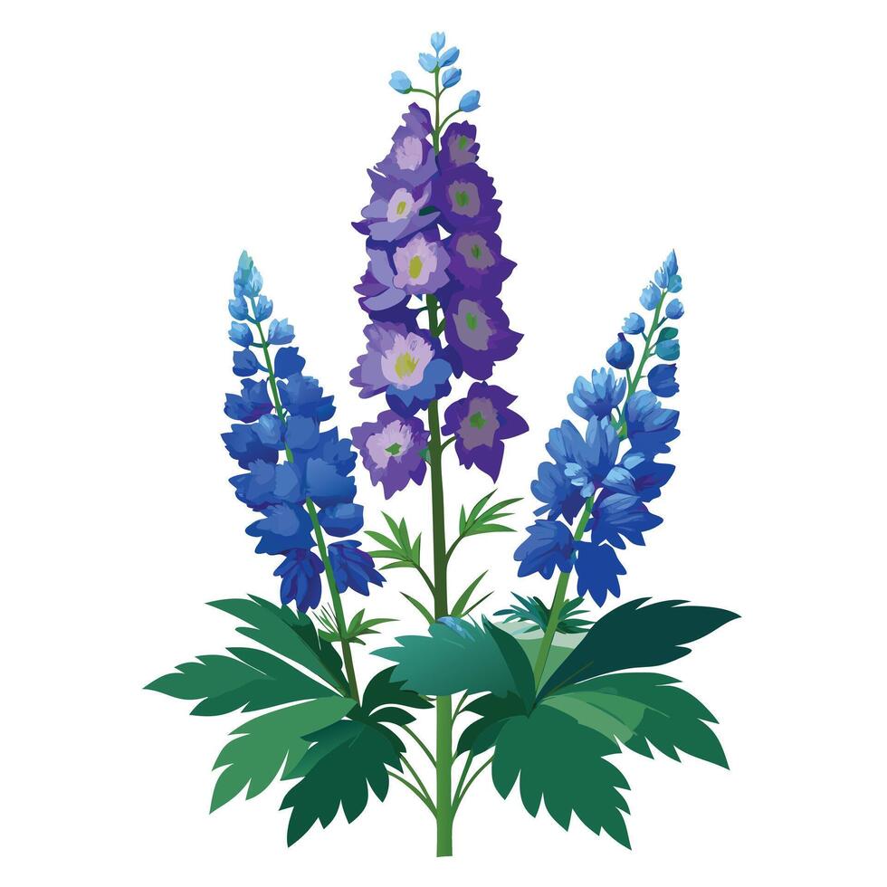 Botanical Illustration of a Delphinium Plant in Full Bloom with Green Leaves and Stems vector