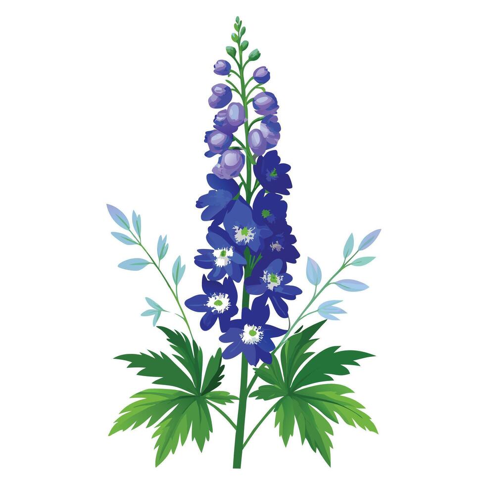 Beautiful Delphinium Plant with Tall Stems and Flowers vector