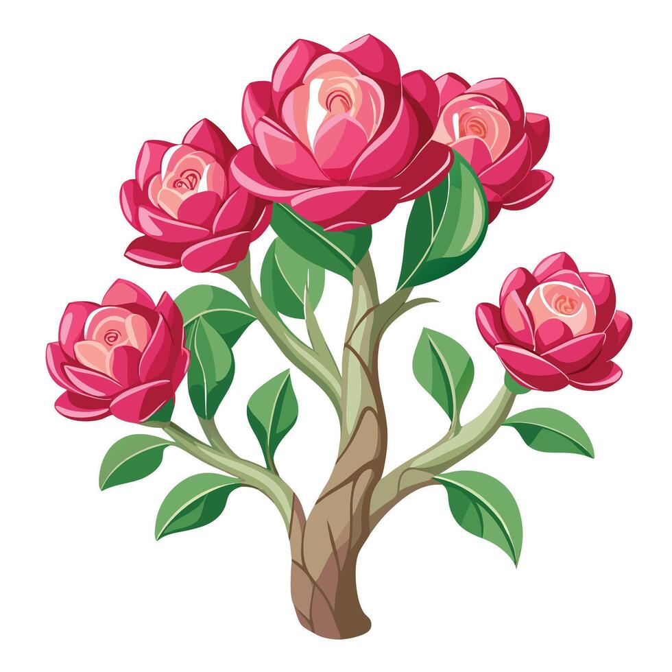 Botanical Illustration of a Desert Rose Plant in Full Bloom with Green Leaves and Stems vector