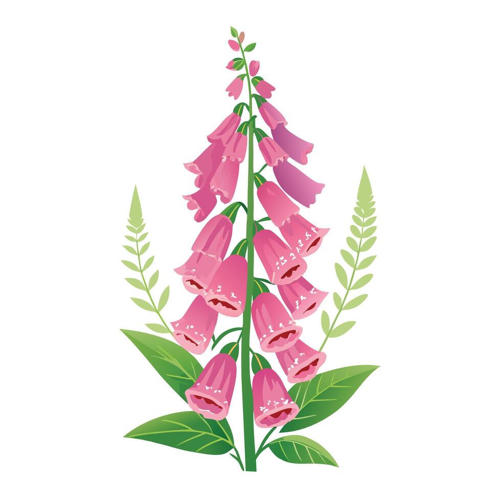 Vibrant Foxglove Plant with Brightly Colored Flowers and Leaves in a Natural Setting Isollated on White Background vector