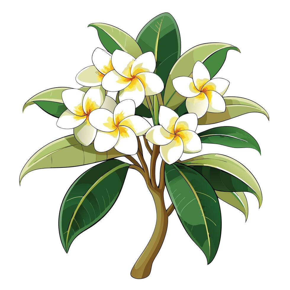Vibrant Frangipani Plant with Brightly Colored Flowers and Leaves in a Natural Setting vector