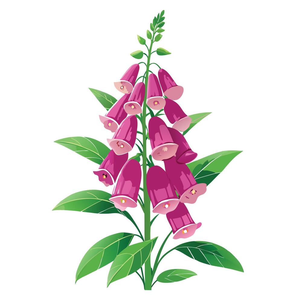 Intricate Details of a Foxglove Plant in a Natural Setting with Wildflowers and Butterflies Isollated on White Background vector