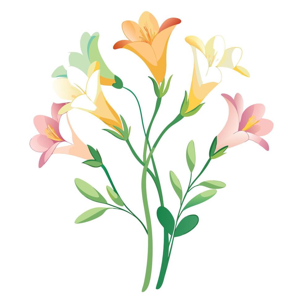 Botanical Illustration of a Freesia Plant in Full Bloom with Green Leaves and Stems Isollated on White Background vector