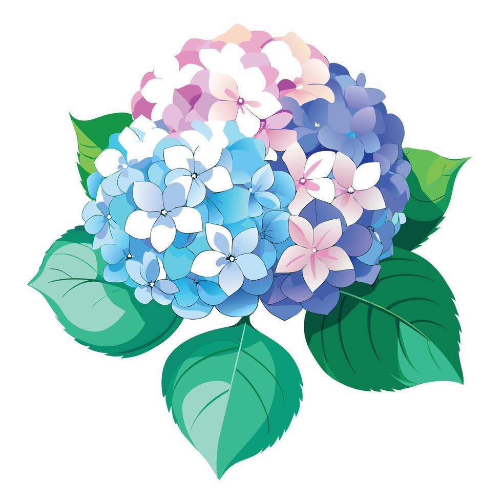 Intricate Details of a Hydrangea Plant in a Natural Setting with Wildflowers and Butterflies Isollated on White Background vector