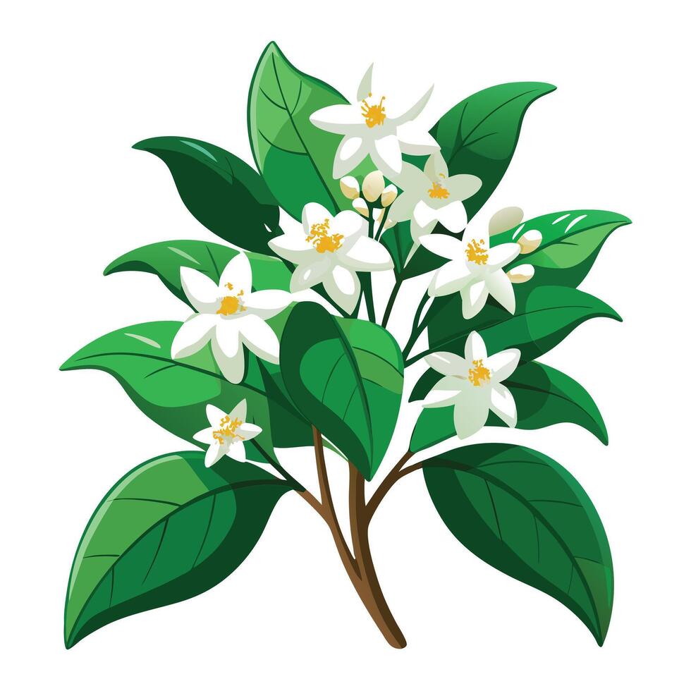 Jasmine Plant with Lavender Flowers and Green Leaves in a Garden Setting vector