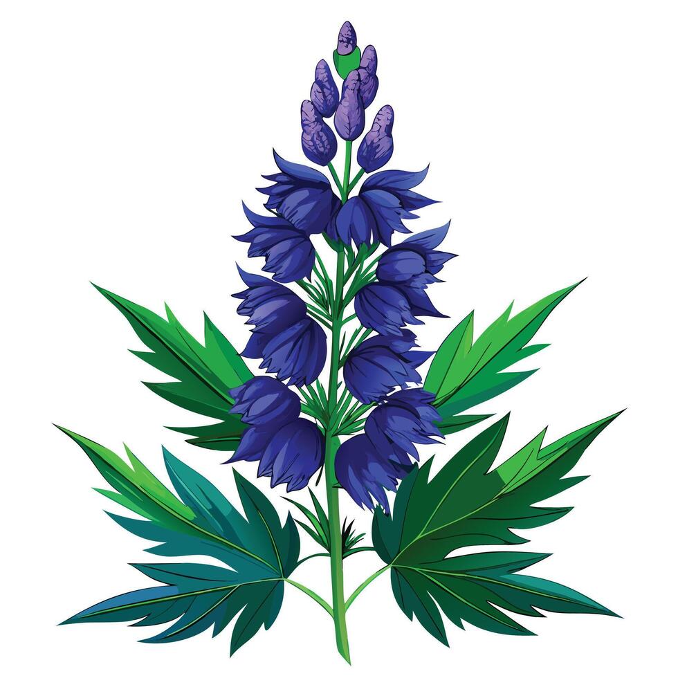 Monkshood Plant with Pink Flowers and Green Leaves in a Garden Setting vector