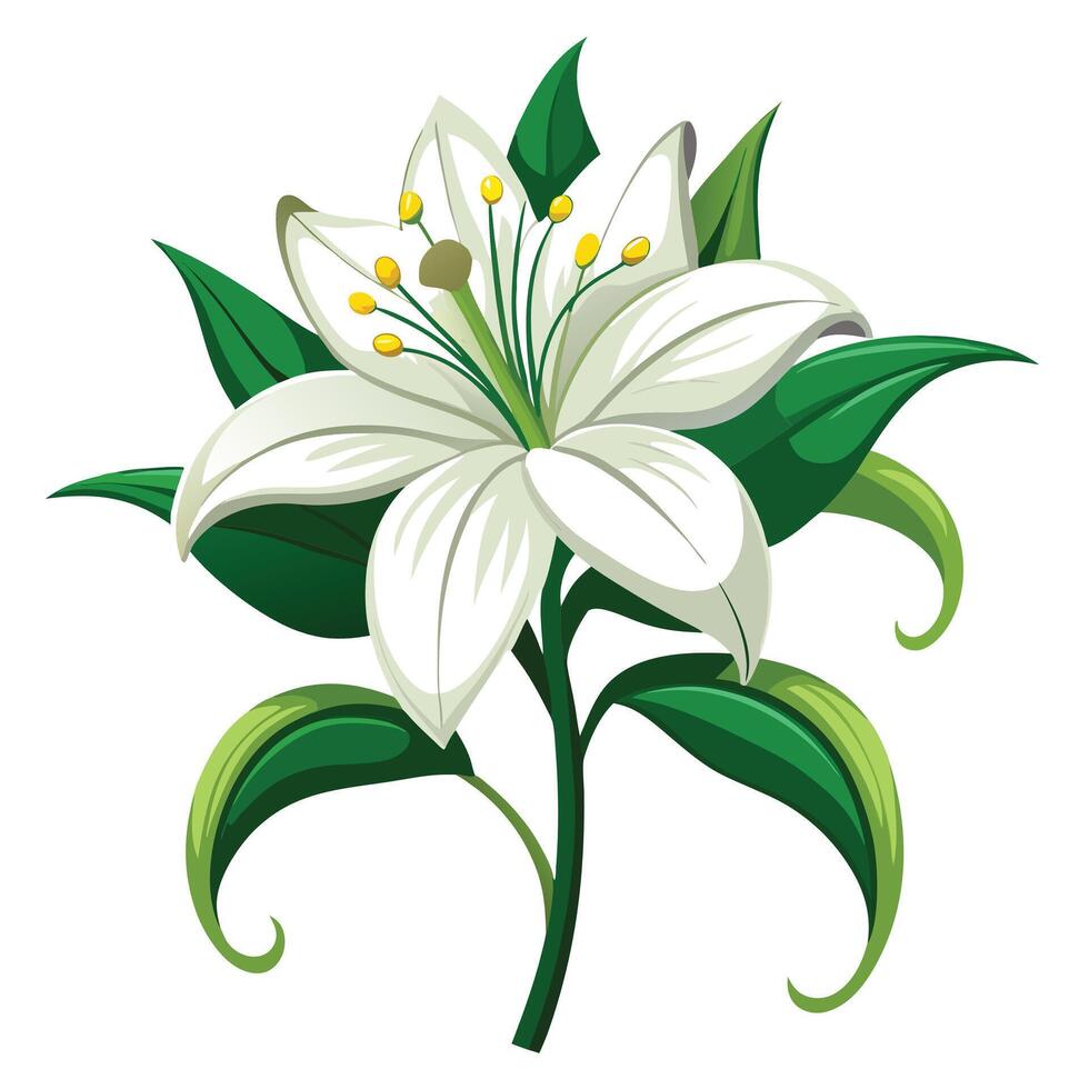Detailed Illustration of a Passion Lily with White Petals and Long Stems vector