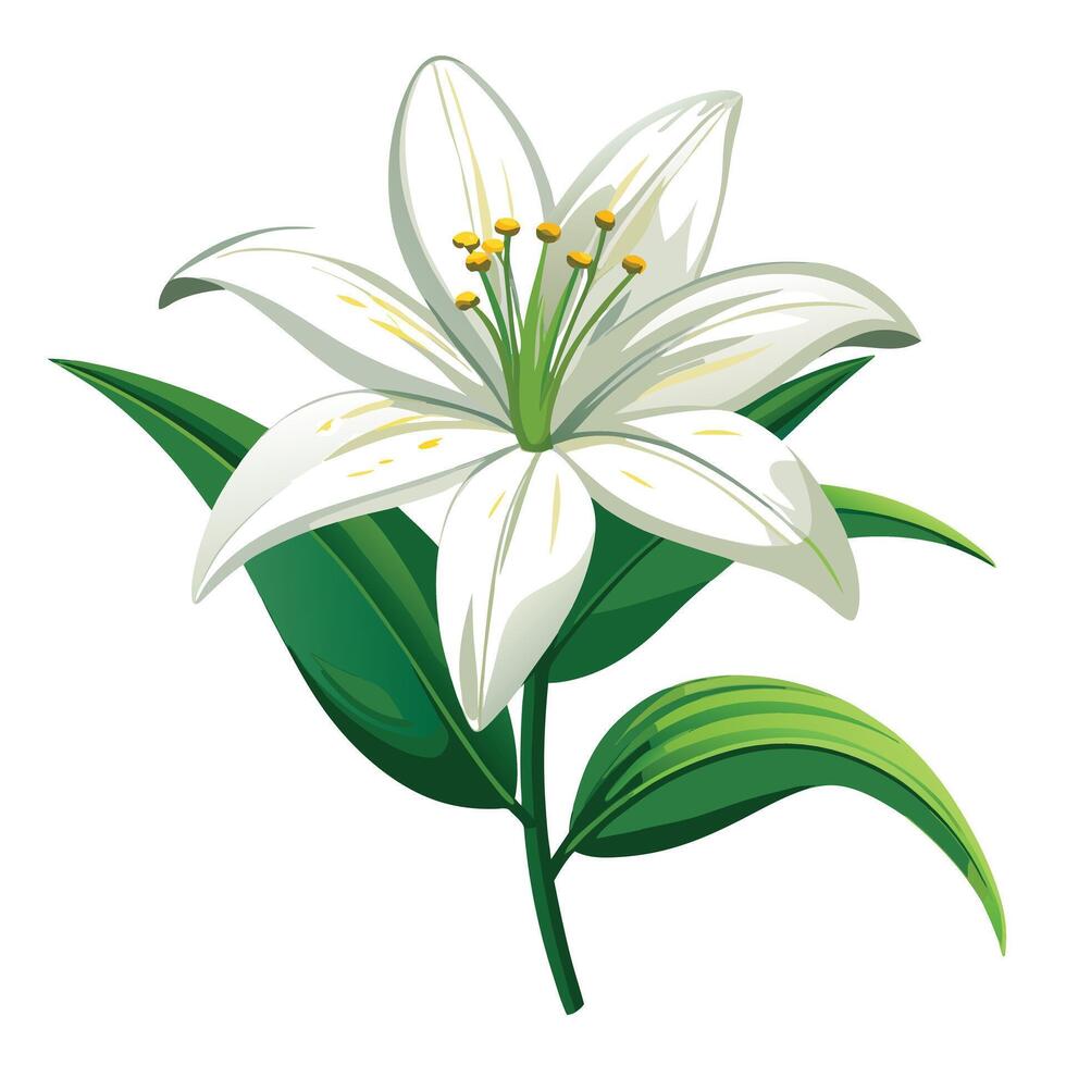 Passion Lily with Purple Petals and Green Leaves in a Garden Setting vector