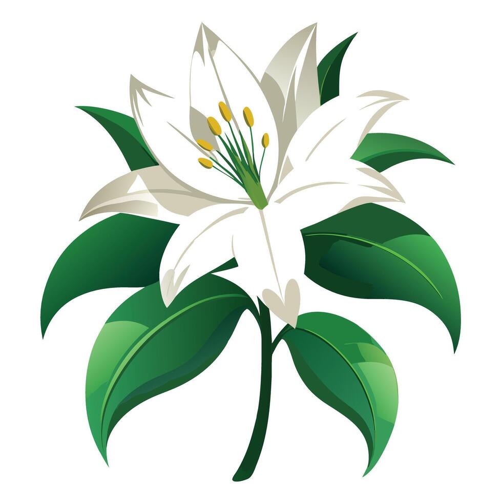Passion Lily with Pink Petals and Green Leaves in a Garden Setting vector
