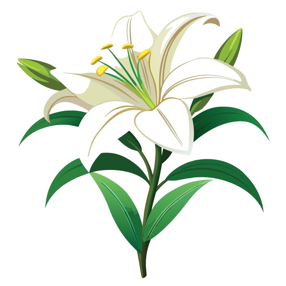 Beautiful Passion Lily with Exotic Shape and Colorful Petals vector