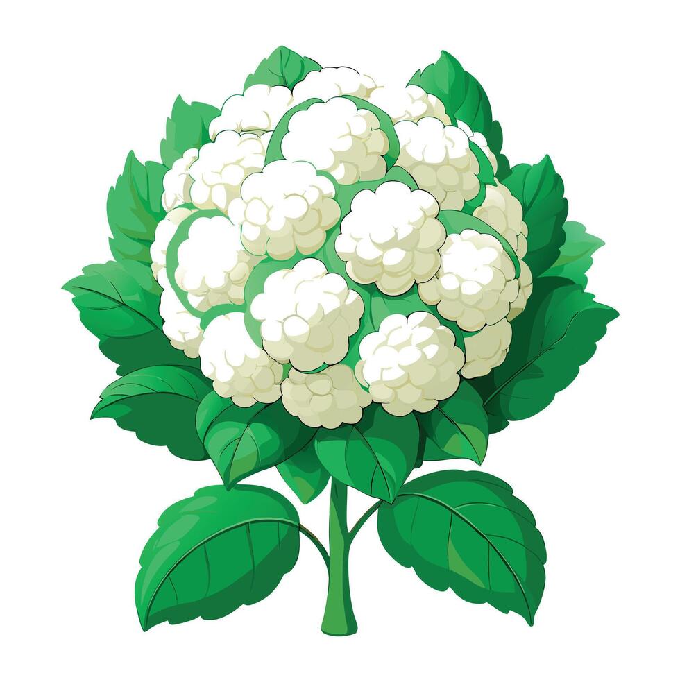Snowball Bush Plant with Purple Flowers and Green Leaves in a Garden Setting vector