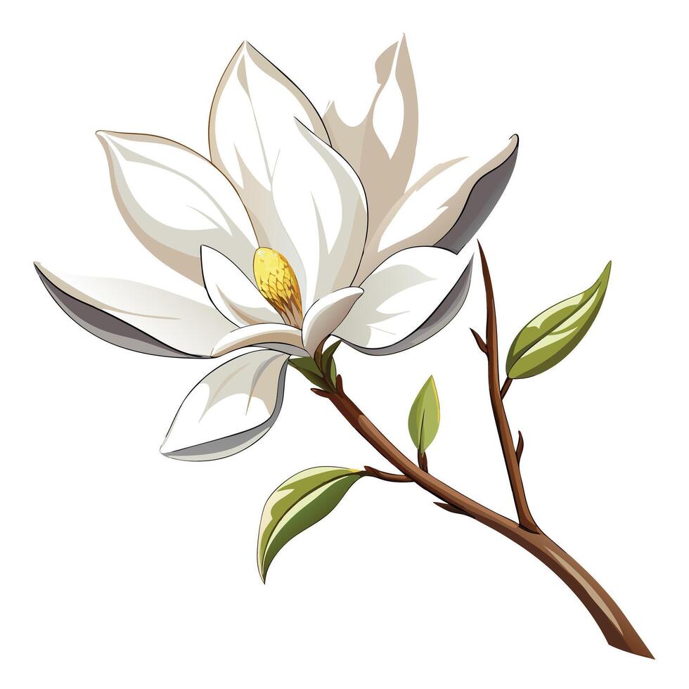 Star Magnolia Flower with Yellow Petals and Green Leaves in a Garden Setting vector